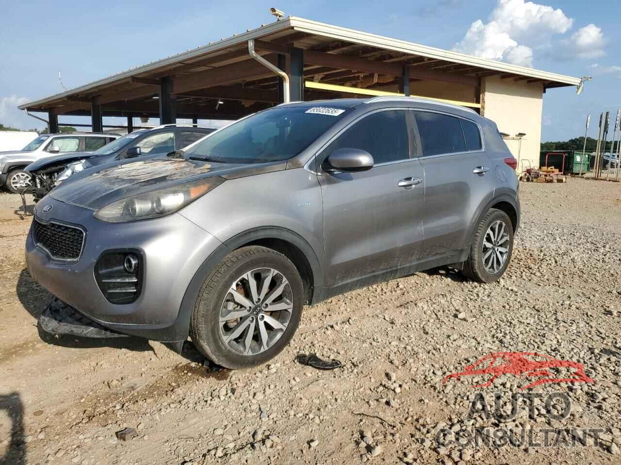 KIA SPORTAGE 2017 - KNDPNCAC4H7282317