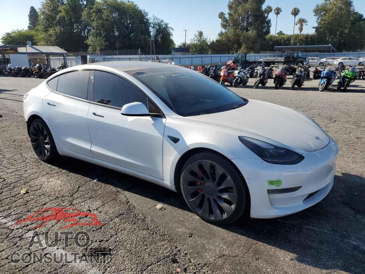TESLA MODEL 3 2021 - 5YJ3E1EC3MF079193