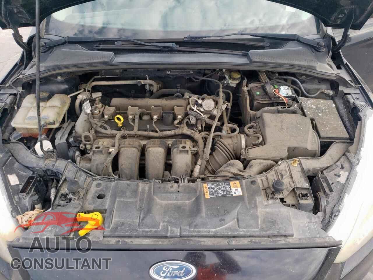 FORD FOCUS 2016 - 1FADP3F27GL350991