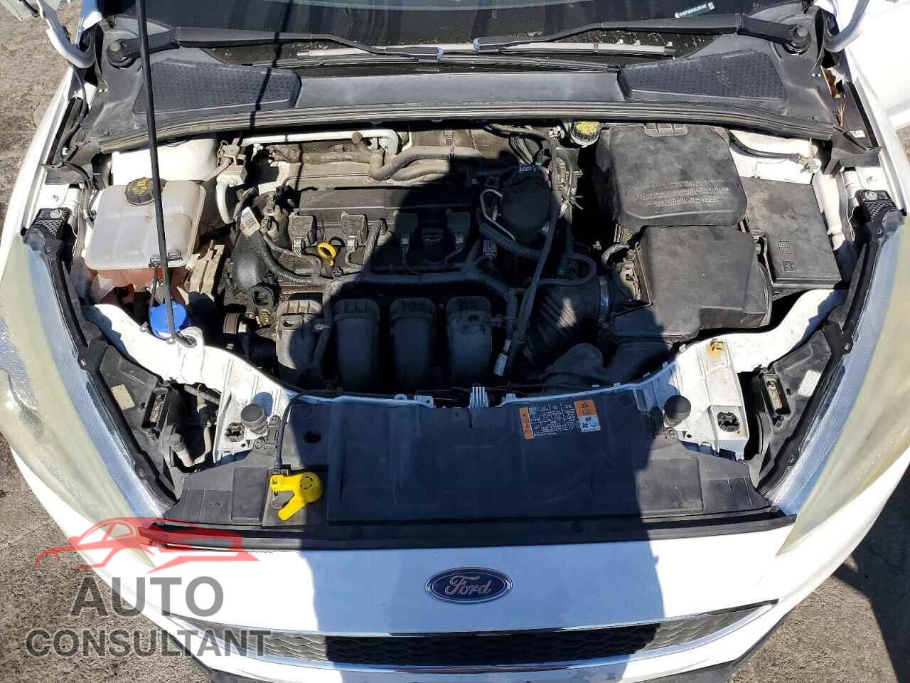 FORD FOCUS 2016 - 1FADP3E2XGL268142