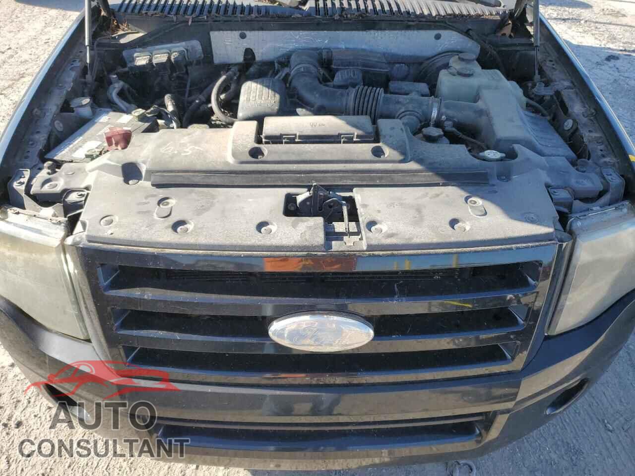FORD EXPEDITION 2009 - 1FMFK20519EB10336