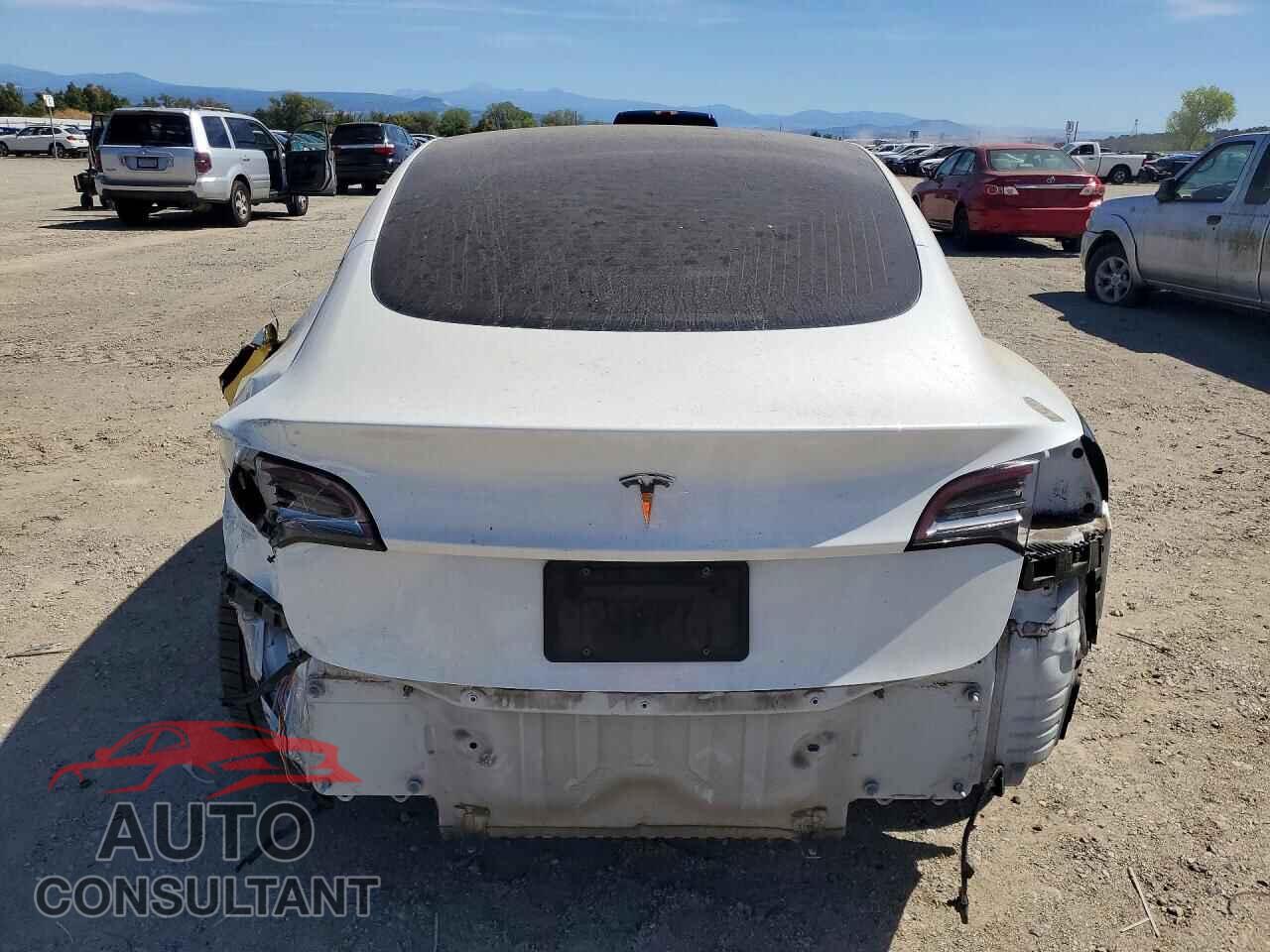 TESLA MODEL 3 2020 - 5YJ3E1EA2LF717950