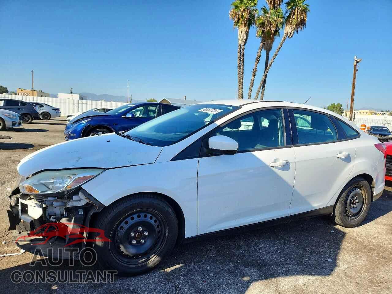 FORD FOCUS 2012 - 1FAHP3F21CL244046