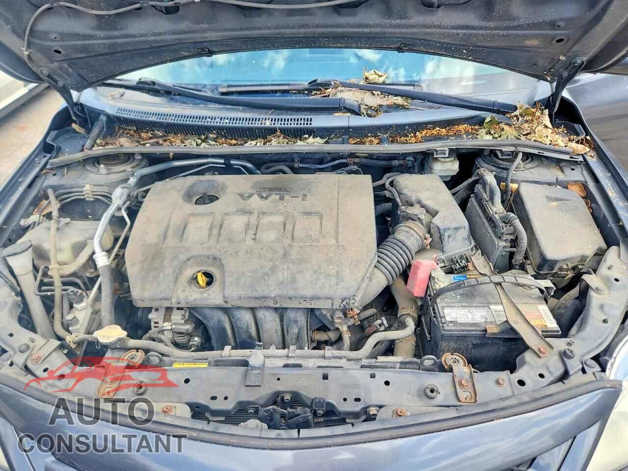 TOYOTA COROLLA 2011 - 2T1BU4EE2BC653897