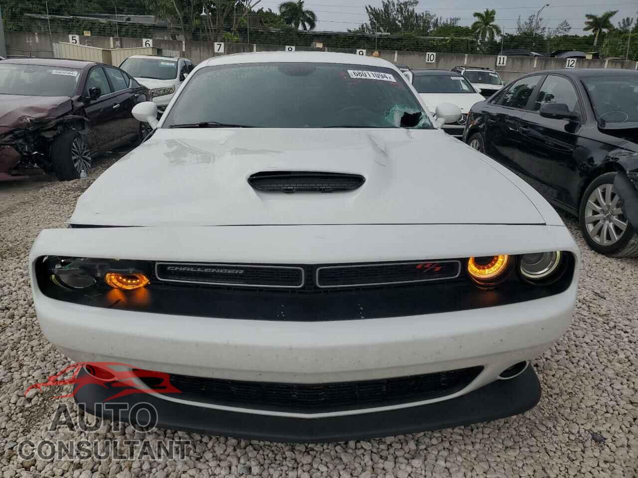 DODGE CHALLENGER 2019 - 2C3CDZBT0KH524636