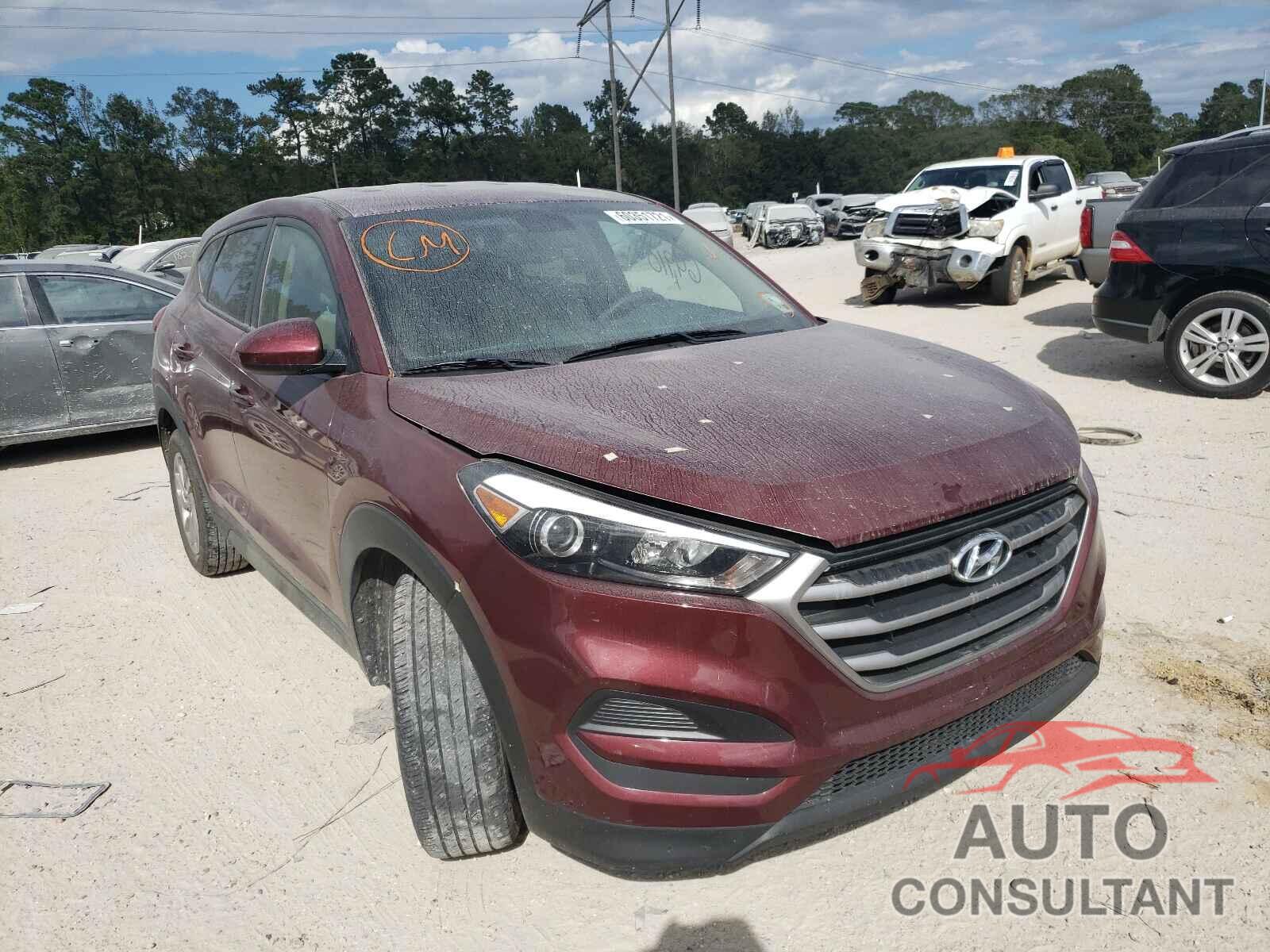 HYUNDAI TUCSON 2017 - KM8J23A49HU331841