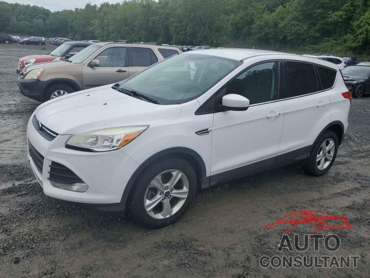 FORD ESCAPE 2014 - 1FMCU9GX3EUC85796
