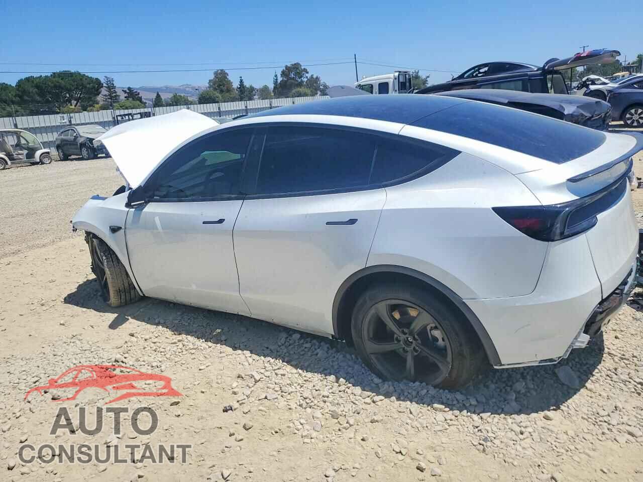 TESLA MODEL Y 2026 - 7SAYGDED7TF431994