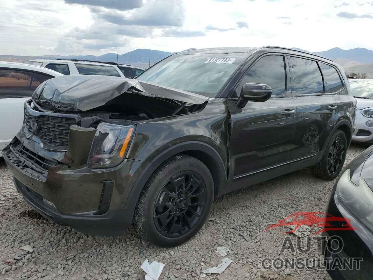 KIA TELLURIDE 2021 - 5XYP5DHC1MG166596