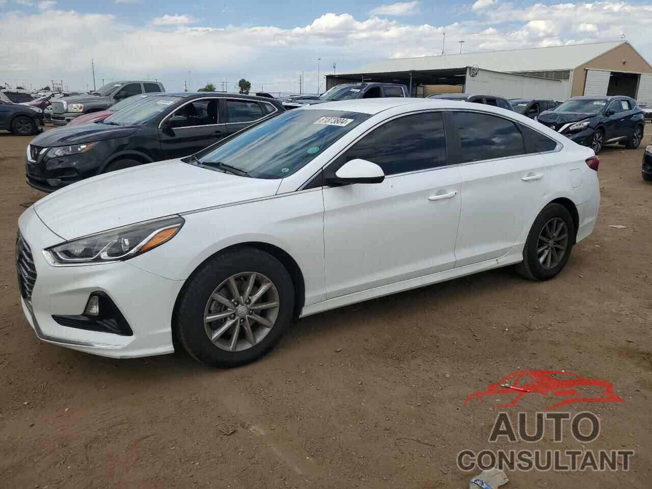 HYUNDAI SONATA 2019 - 5NPE24AF0KH753091