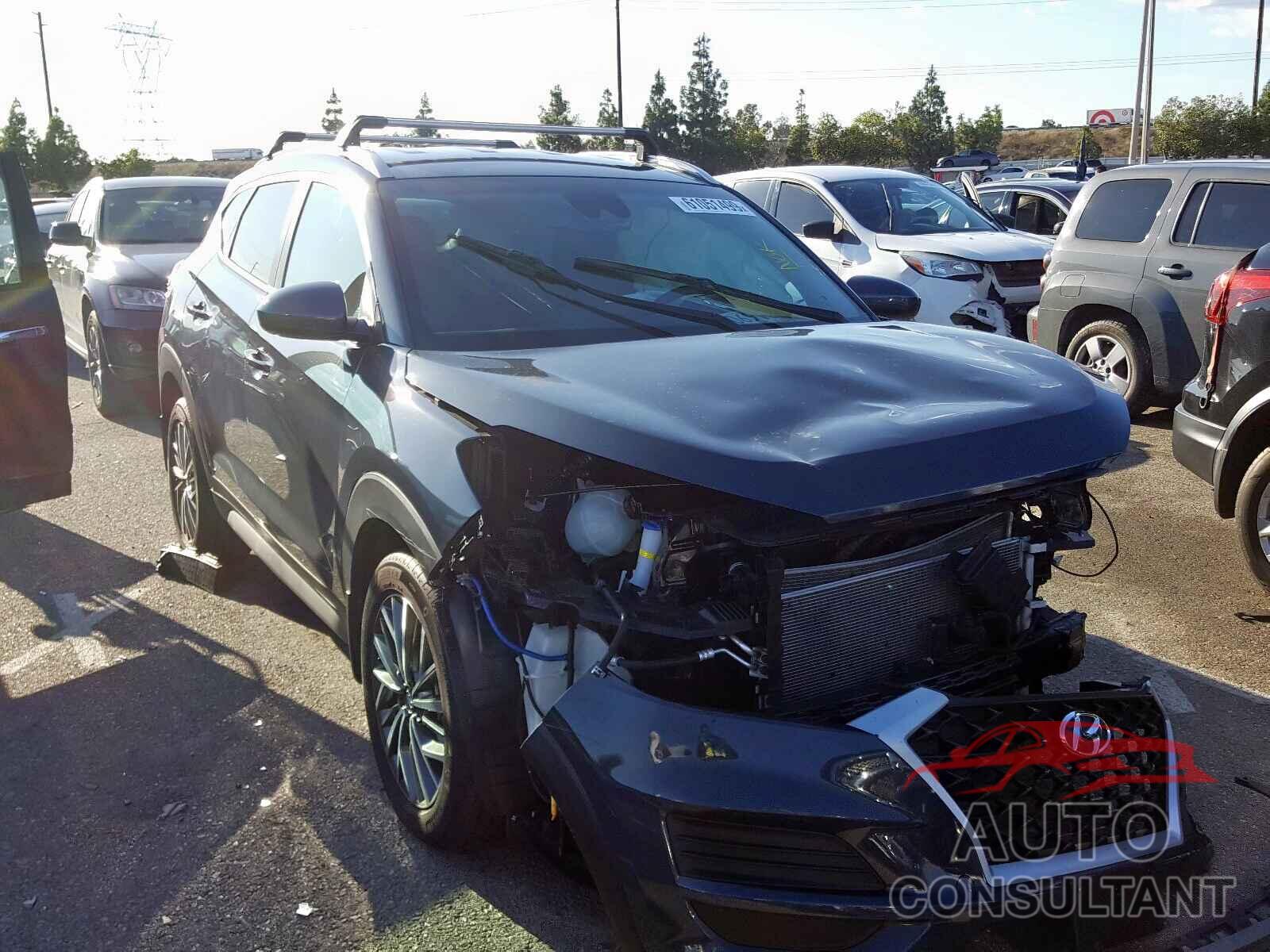 HYUNDAI TUCSON 2019 - KM8J33AL1KU912116