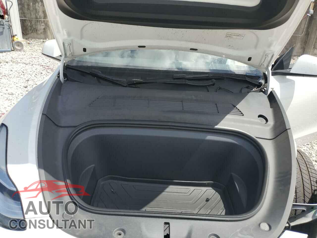 TESLA MODEL Y 2023 - 7SAYGAEE2PF610876