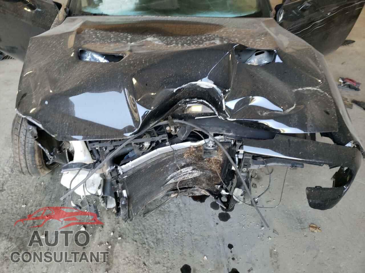 DODGE CHALLENGER 2019 - 2C3CDZAG5KH666579