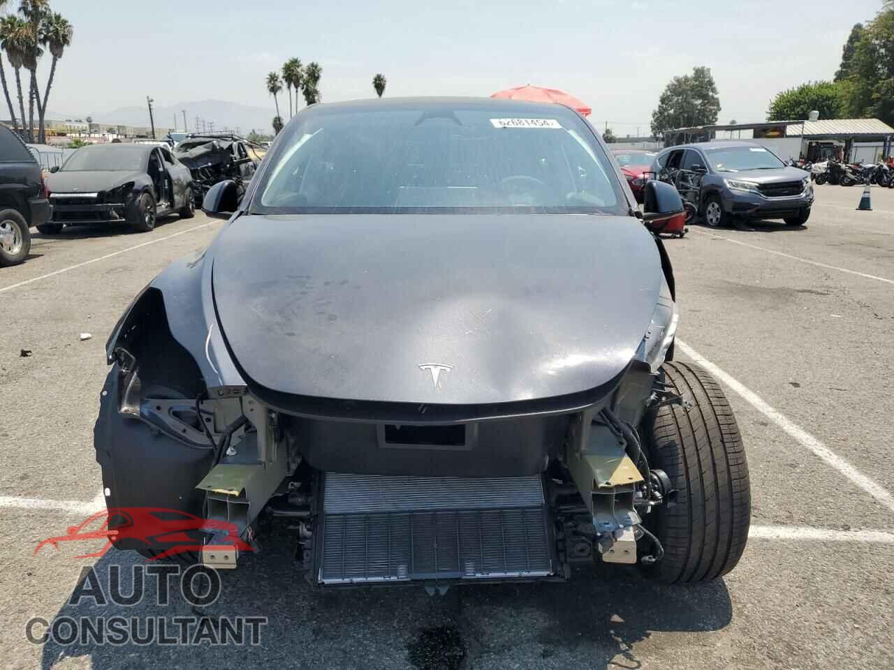 TESLA MODEL Y 2024 - 7SAYGDED7RF054334