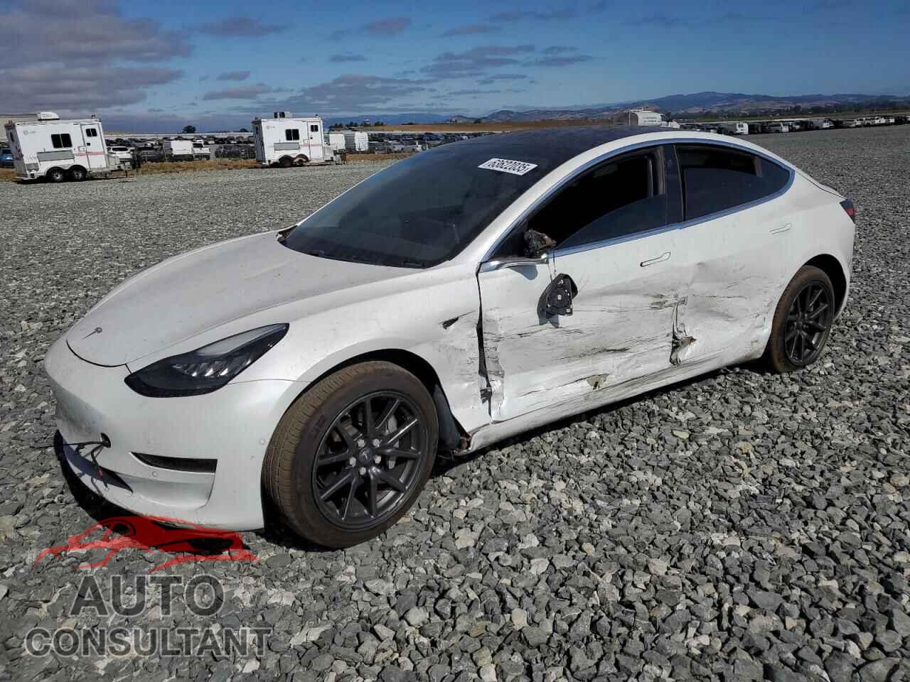 TESLA MODEL 3 2019 - 5YJ3E1EA3KF483543