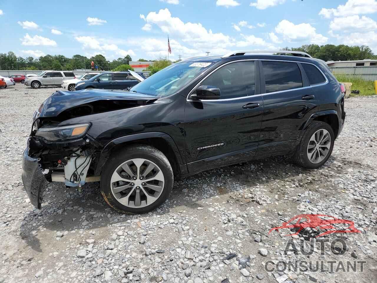 JEEP CHEROKEE 2019 - 1C4PJMJN2KD124179