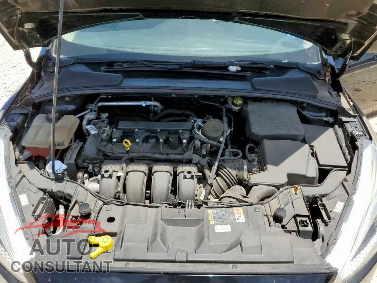 FORD FOCUS 2016 - 1FADP3E24GL226923