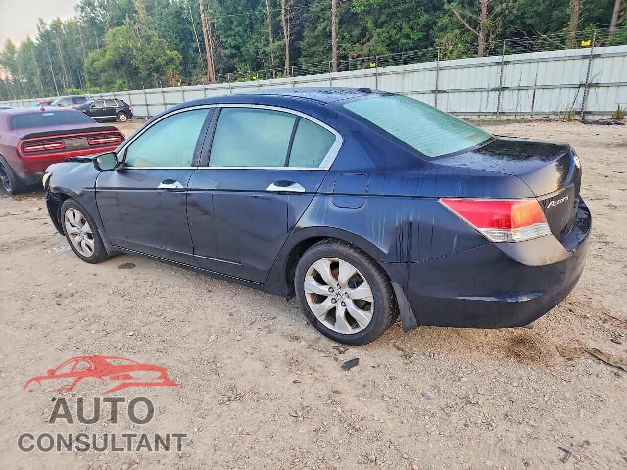HONDA ACCORD 2010 - 5KBCP3F85AB010261