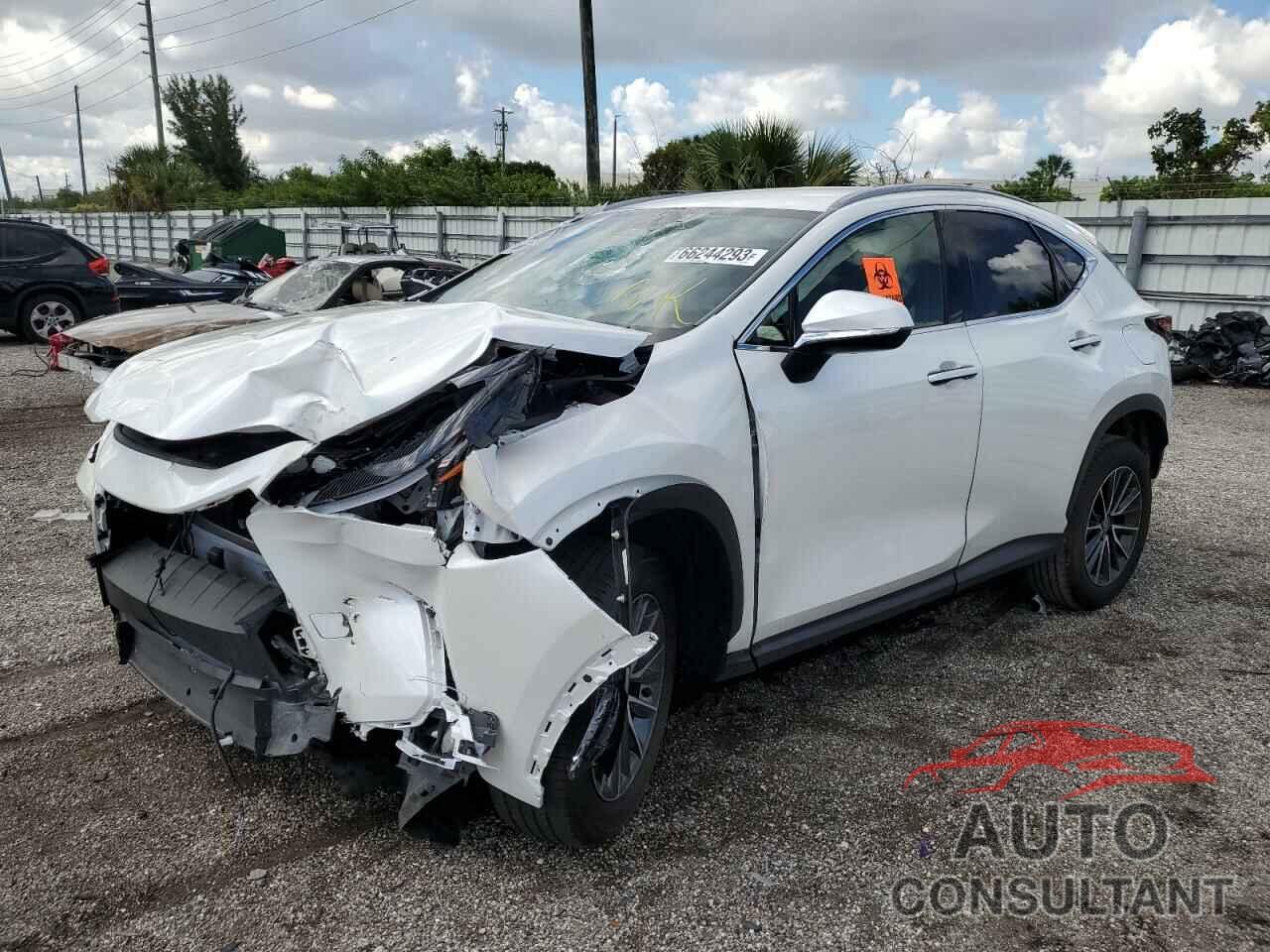 LEXUS NX 250 BAS 2024 - JTJADCAZ9R2008300