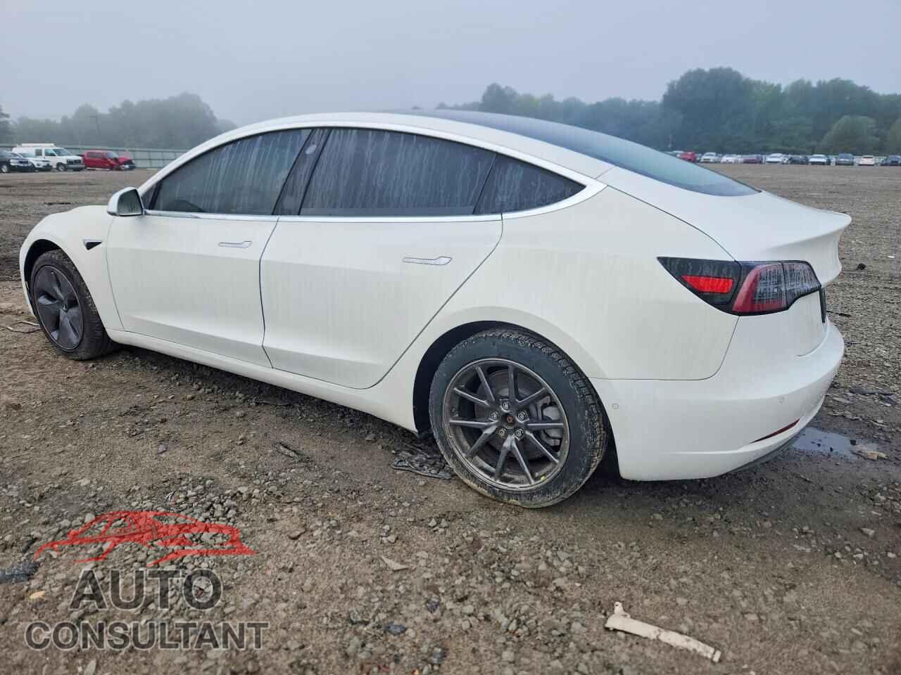 TESLA MODEL 3 2019 - 5YJ3E1EA3KF425111