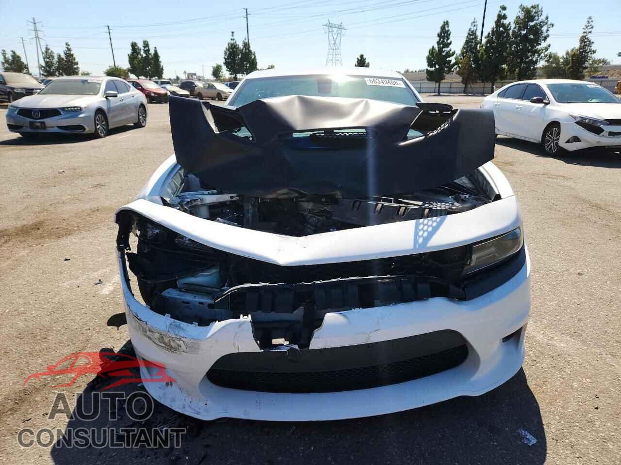 DODGE CHARGER 2019 - 2C3CDXCT1KH550066