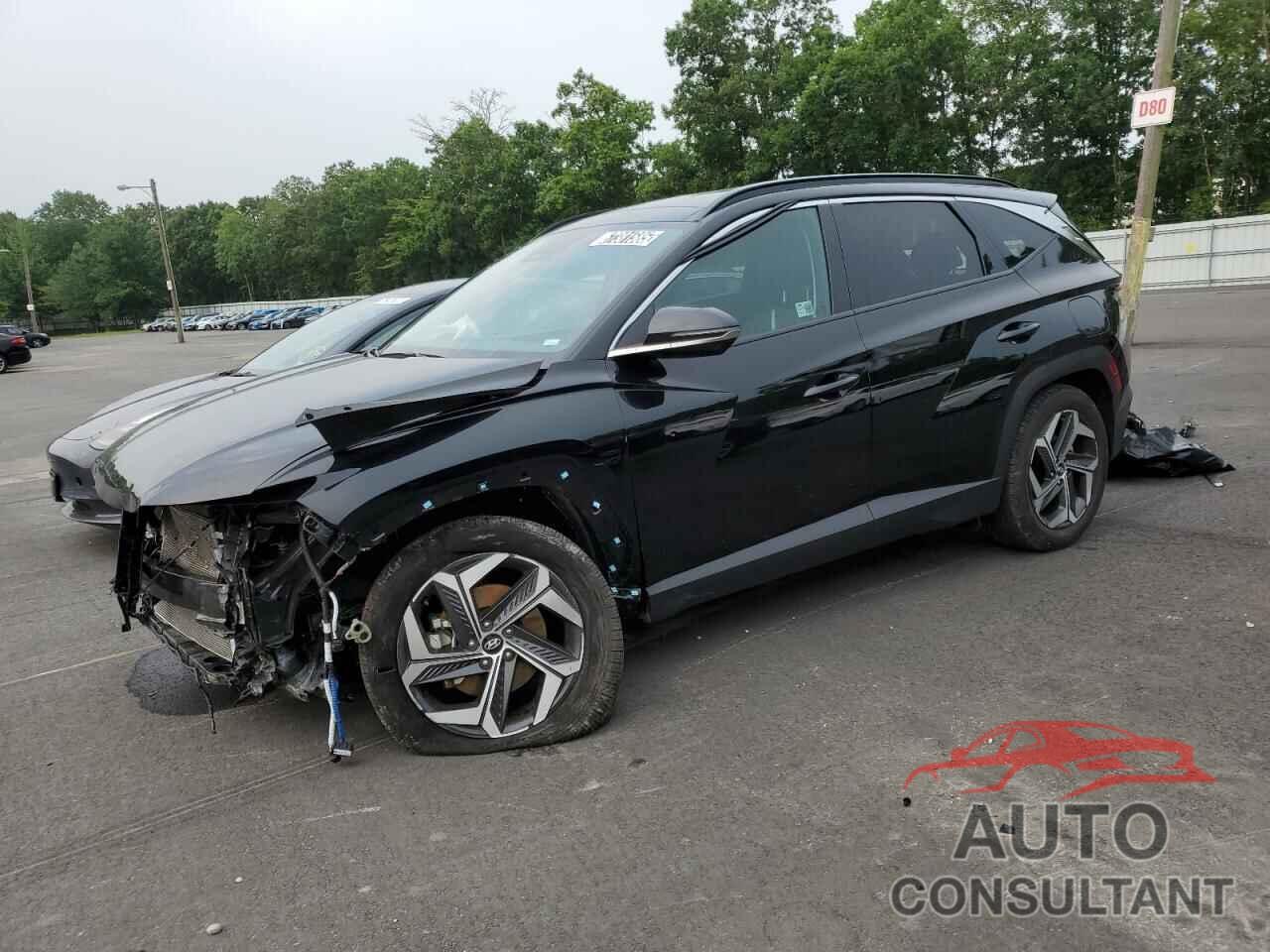 HYUNDAI TUCSON 2024 - 5NMJE3DE5RH352324