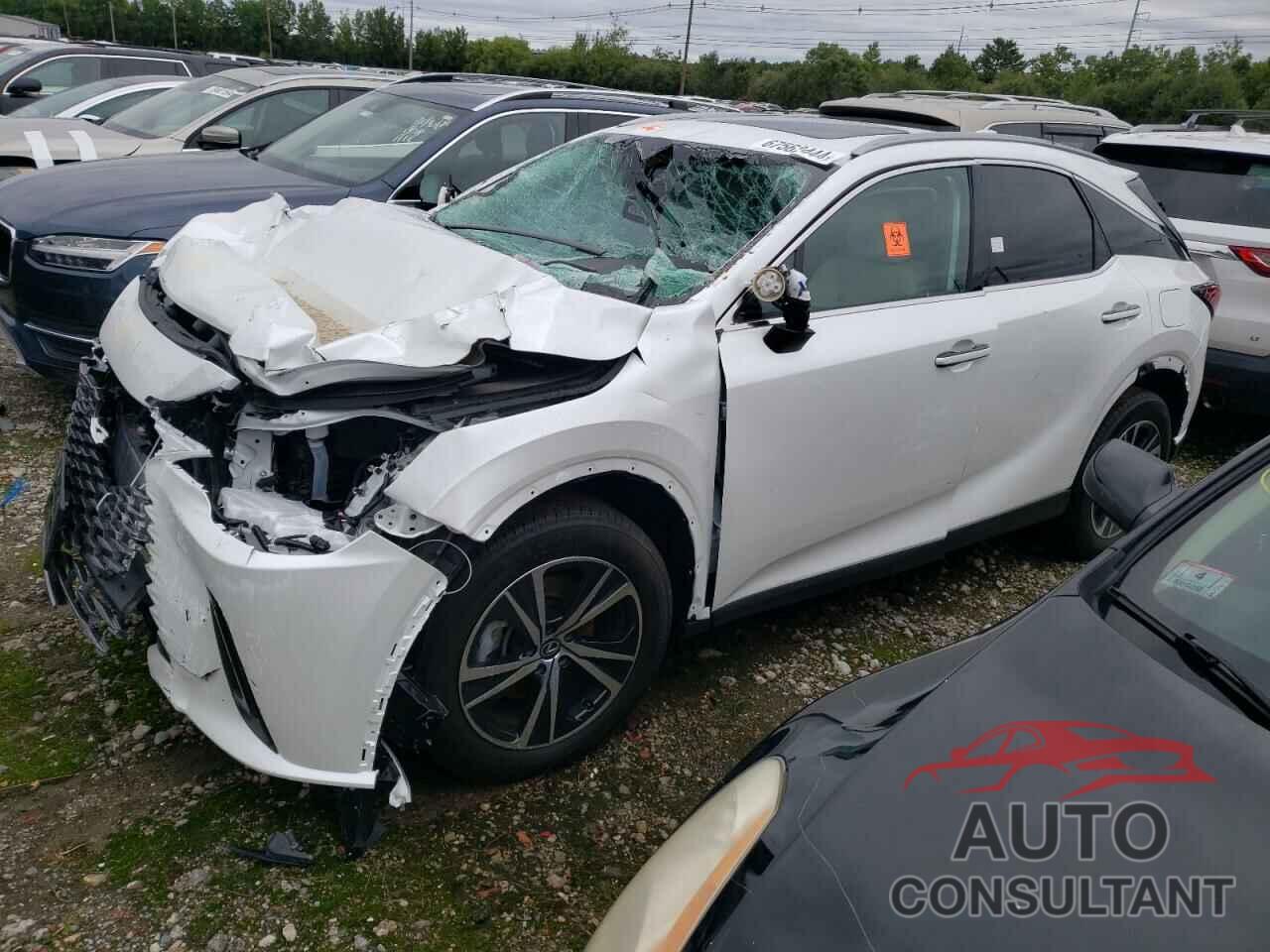 LEXUS RX 350H BA 2024 - 2T2BBMCA1RC049656