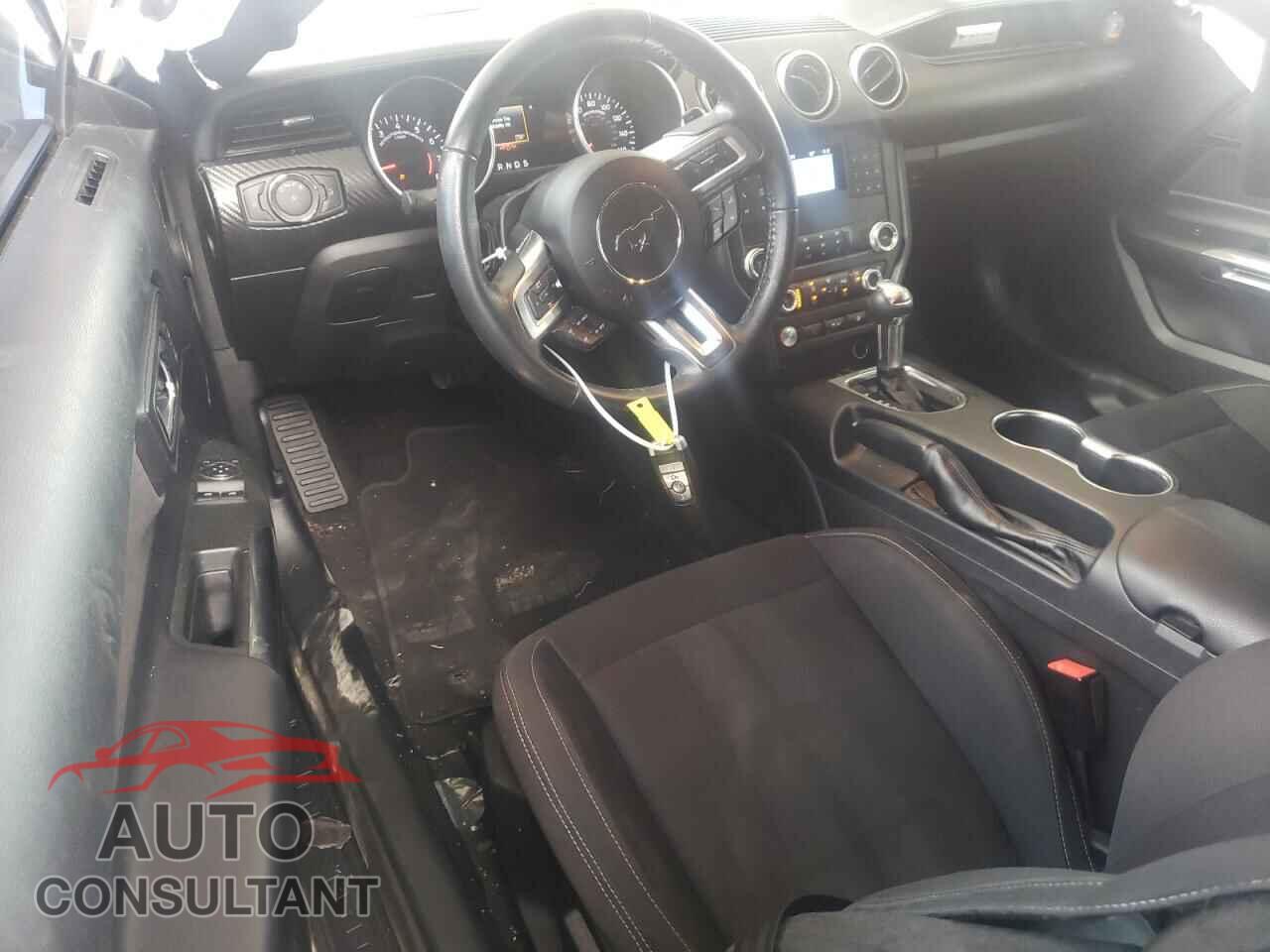 FORD ALL Models 2019 - 1FA6P8TH3K5132199