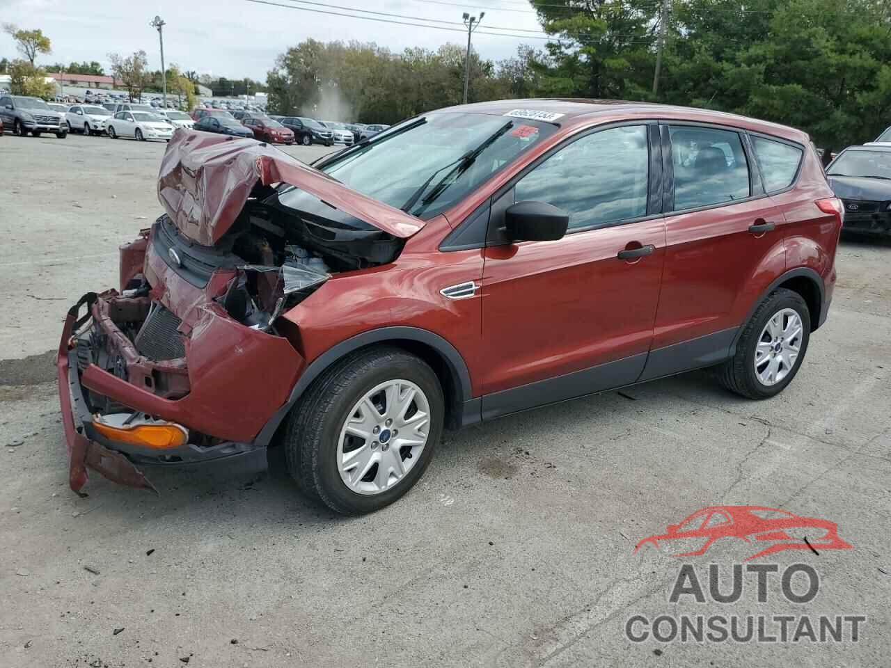 FORD ESCAPE 2016 - 1FMCU0F74GUB51069