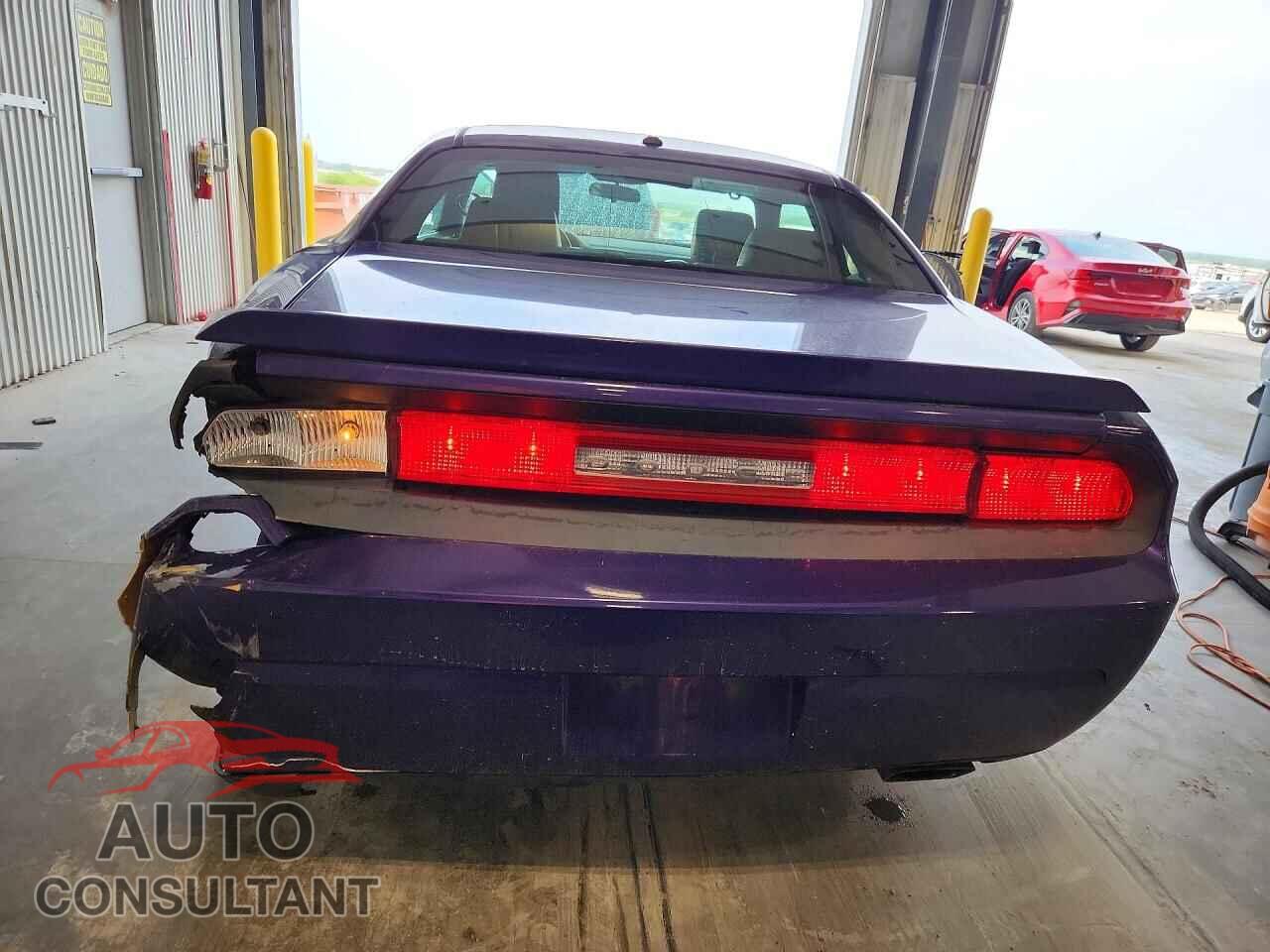 DODGE CHALLENGER 2010 - 2B3CJ5DT1AH173231