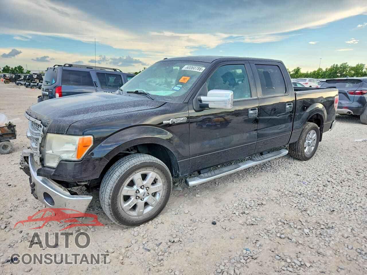 FORD F150 2013 - 1FTEW1CM7DFD40273