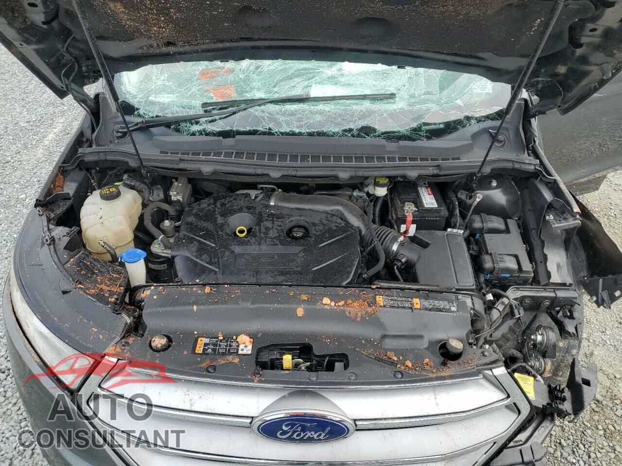 FORD EDGE 2017 - 2FMPK3G90HBB68483