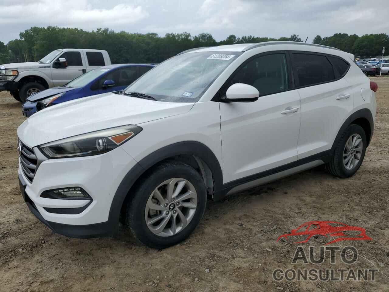 HYUNDAI TUCSON 2017 - KM8J3CA41HU287783