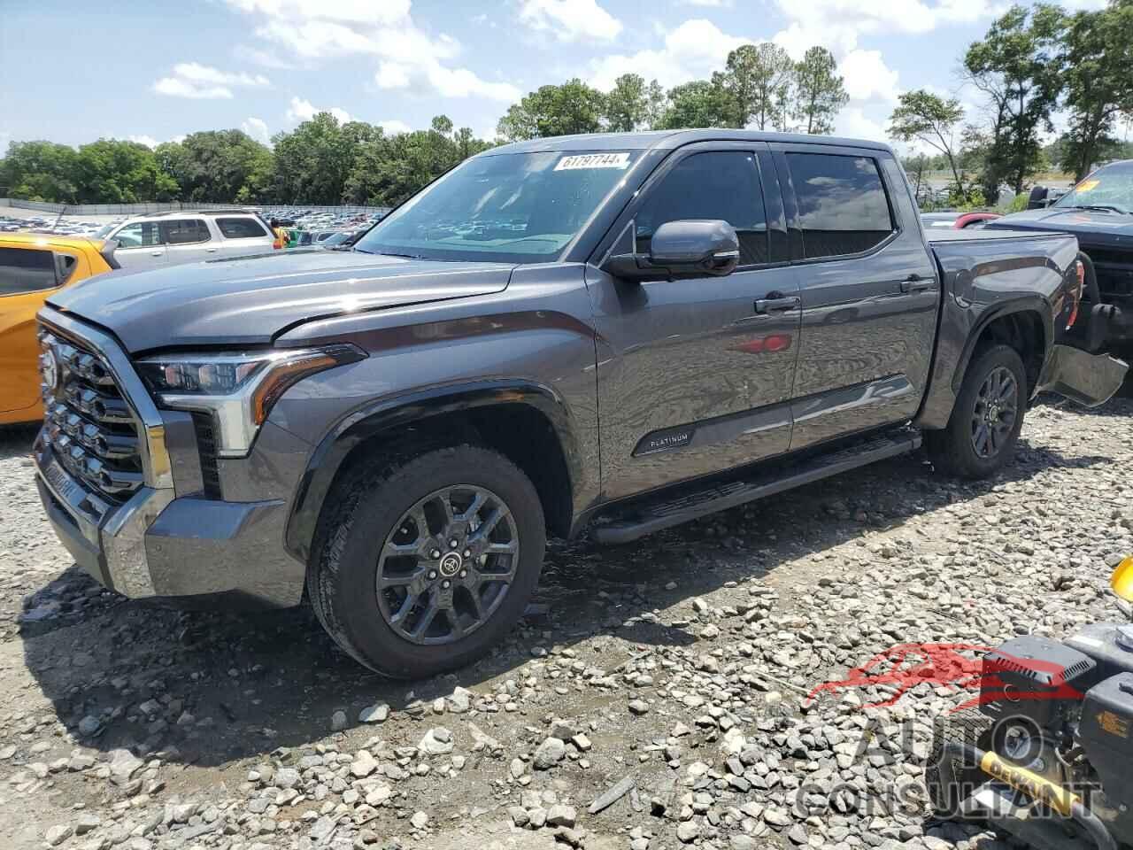 TOYOTA TUNDRA 2023 - 5TFNA5DB2PX094122