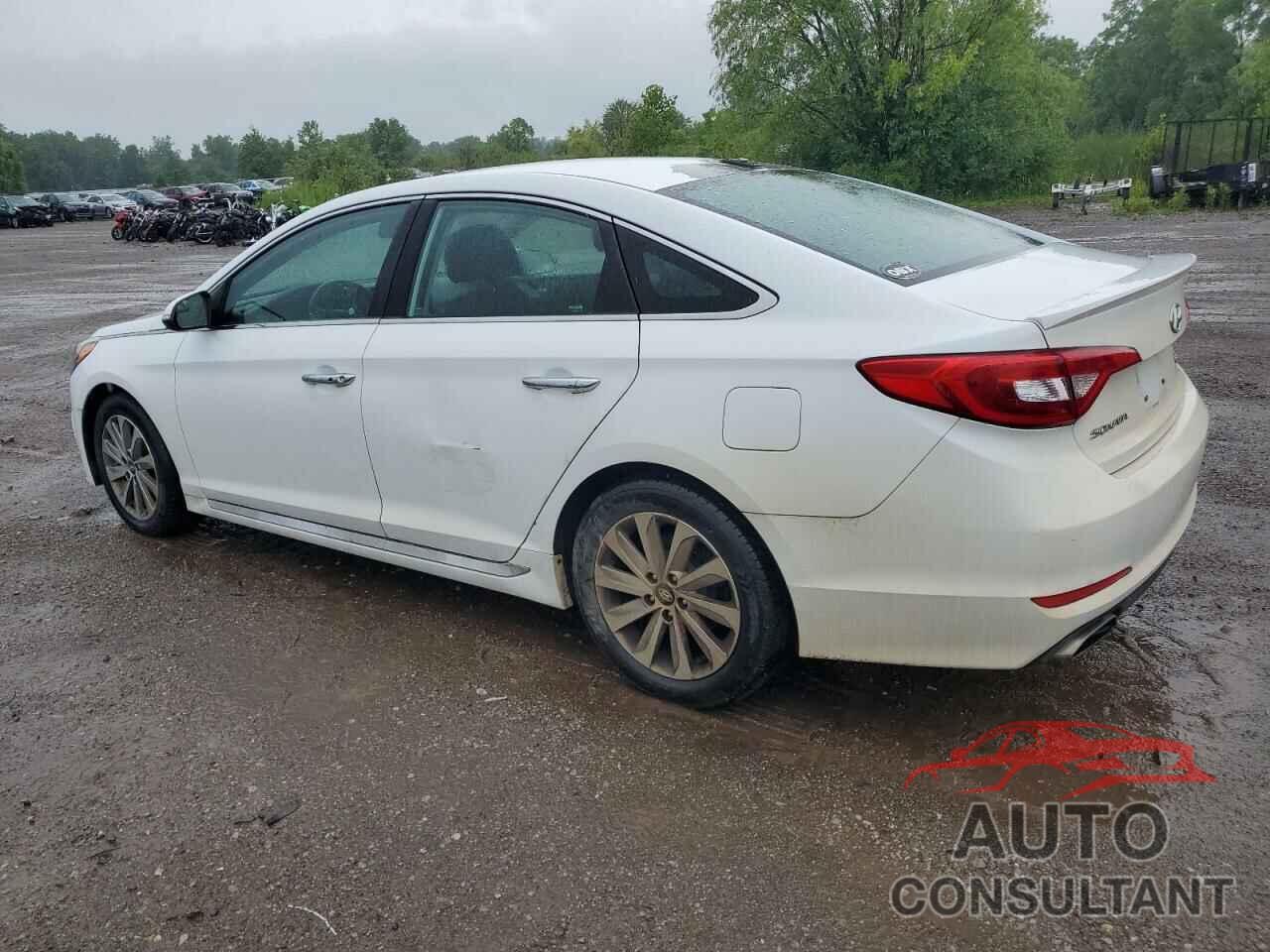 HYUNDAI SONATA 2016 - 5NPE34AF1GH392720