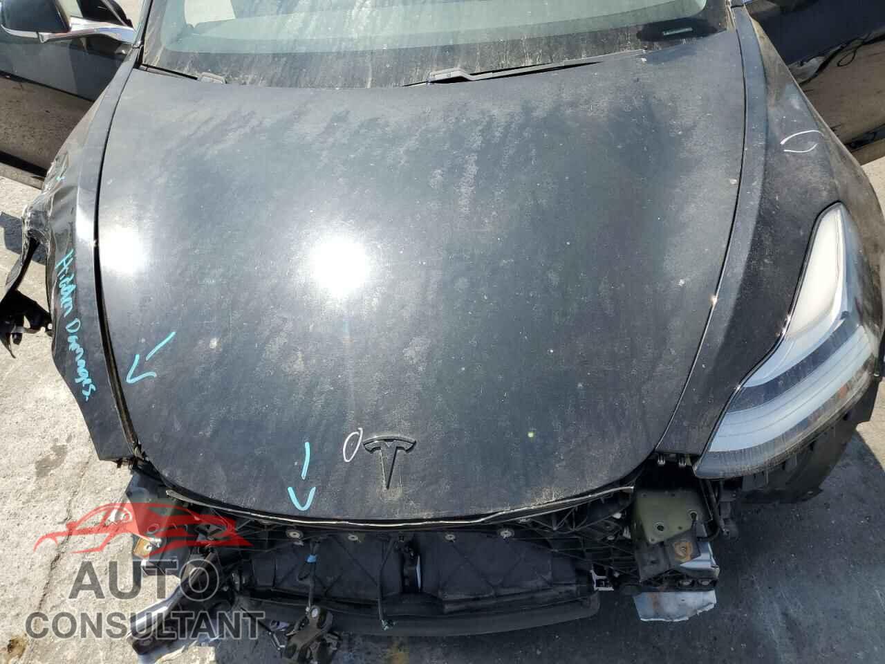 TESLA MODEL 3 2019 - 5YJ3E1EA0KF307064