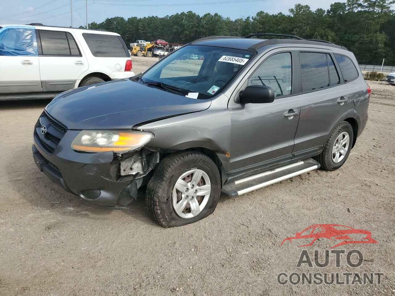HYUNDAI SANTA FE 2009 - 5NMSG13D99H294231