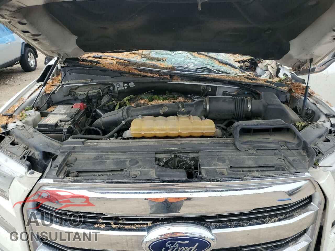 FORD F-150 2017 - 1FTEW1EG4HFA73459
