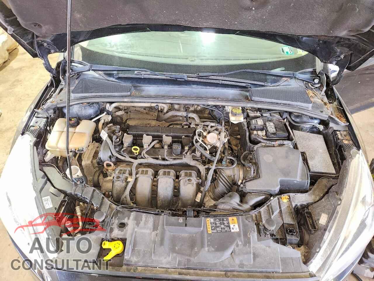 FORD FOCUS 2017 - 1FADP3K23HL295012
