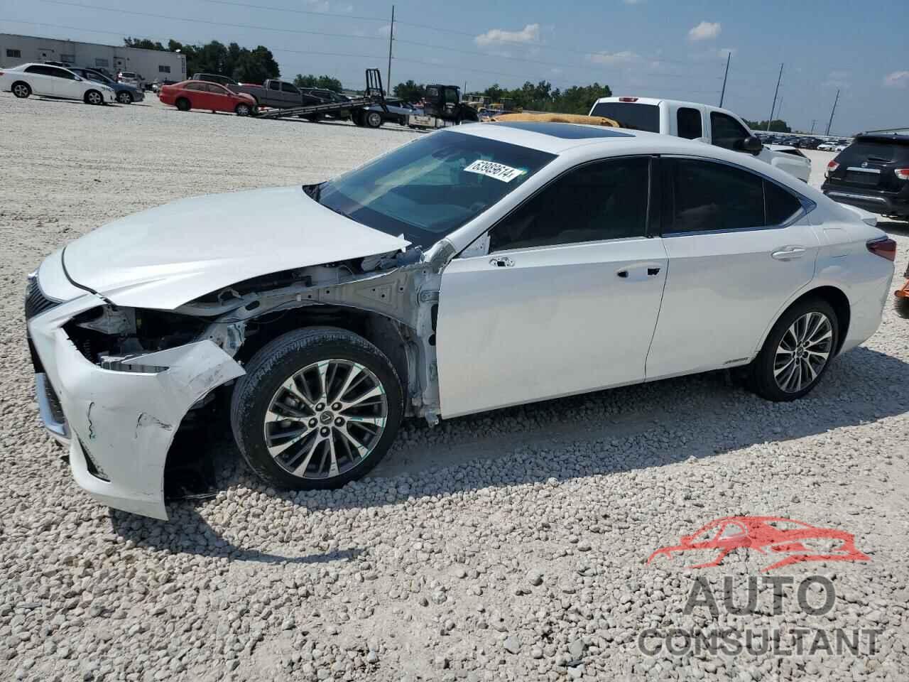 LEXUS ES300 2019 - 58AB21B17KU002861