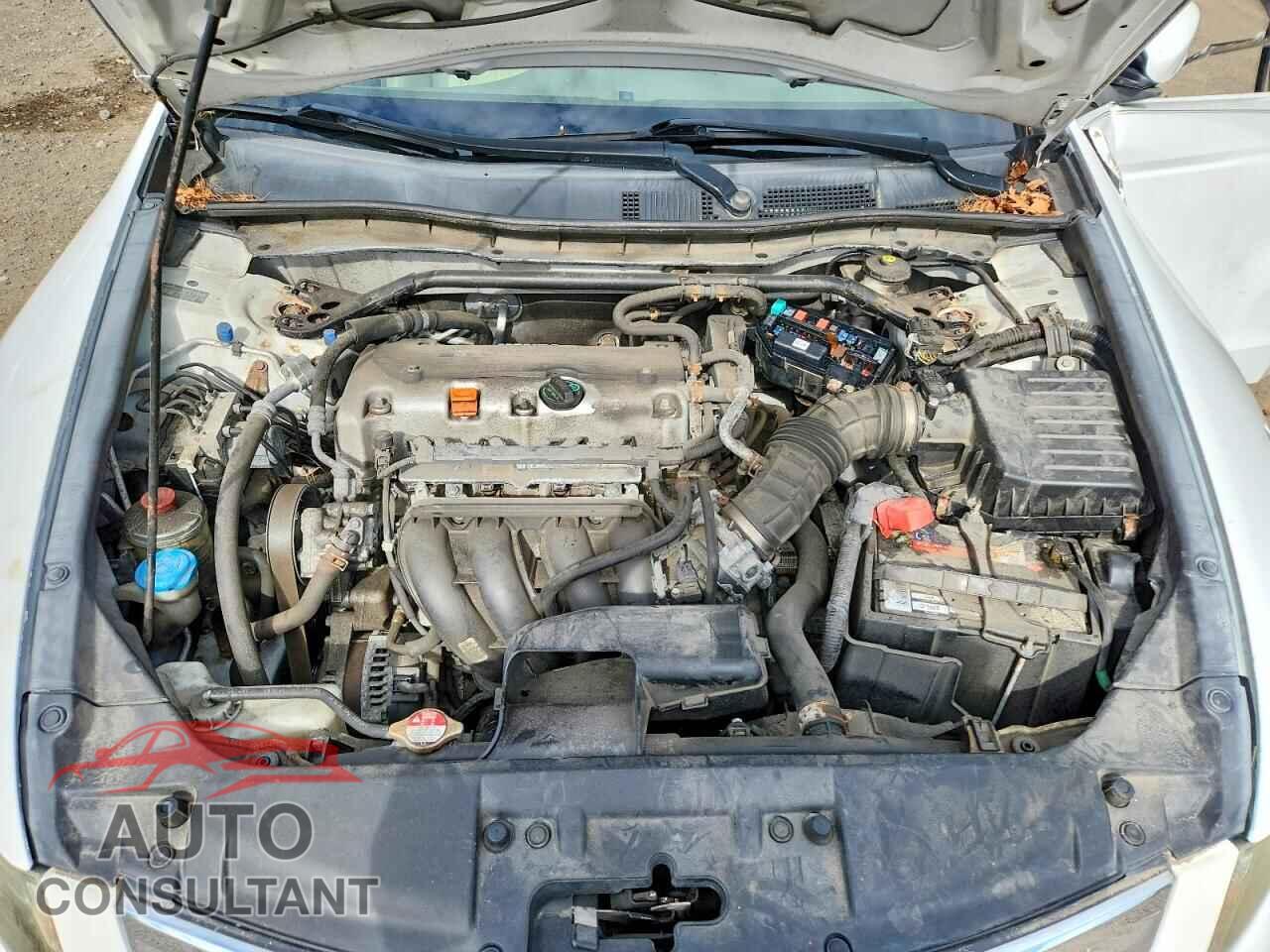 HONDA ACCORD 2010 - 1HGCP2F84AA104697