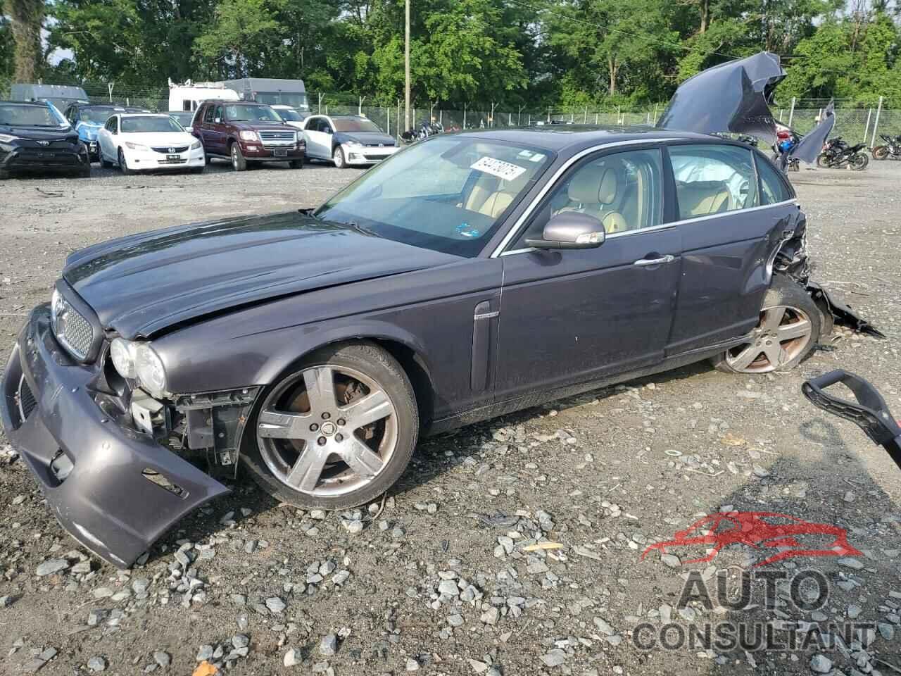 JAGUAR XJ8 2009 - SAJWA71B79SH31014