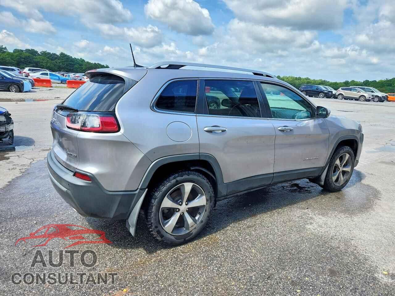 JEEP CHEROKEE 2019 - 1C4PJMDN1KD163003