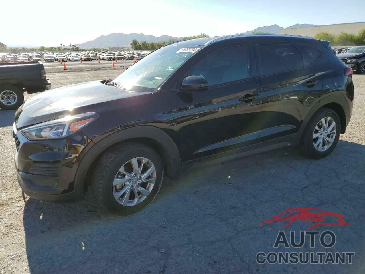 HYUNDAI TUCSON 2019 - KM8J33A41KU851150