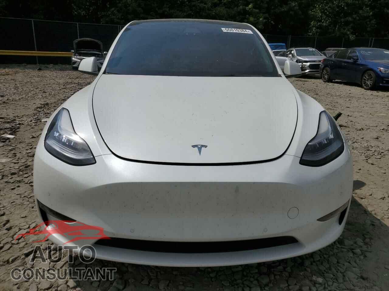 TESLA MODEL Y 2021 - 5YJYGDEEXMF200224
