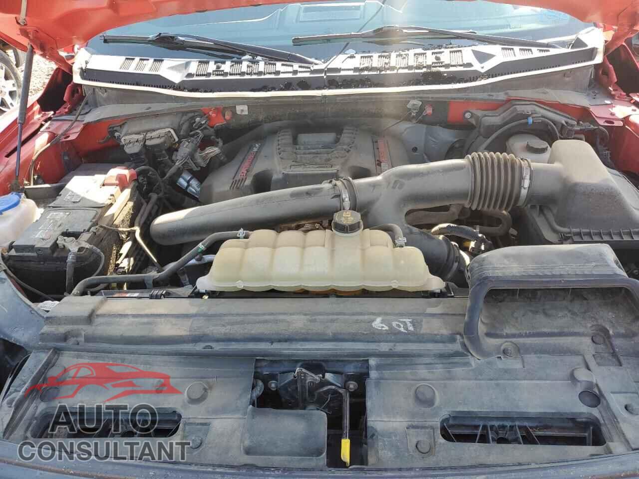 FORD F150 2020 - 1FTFW1RGXLFA72386