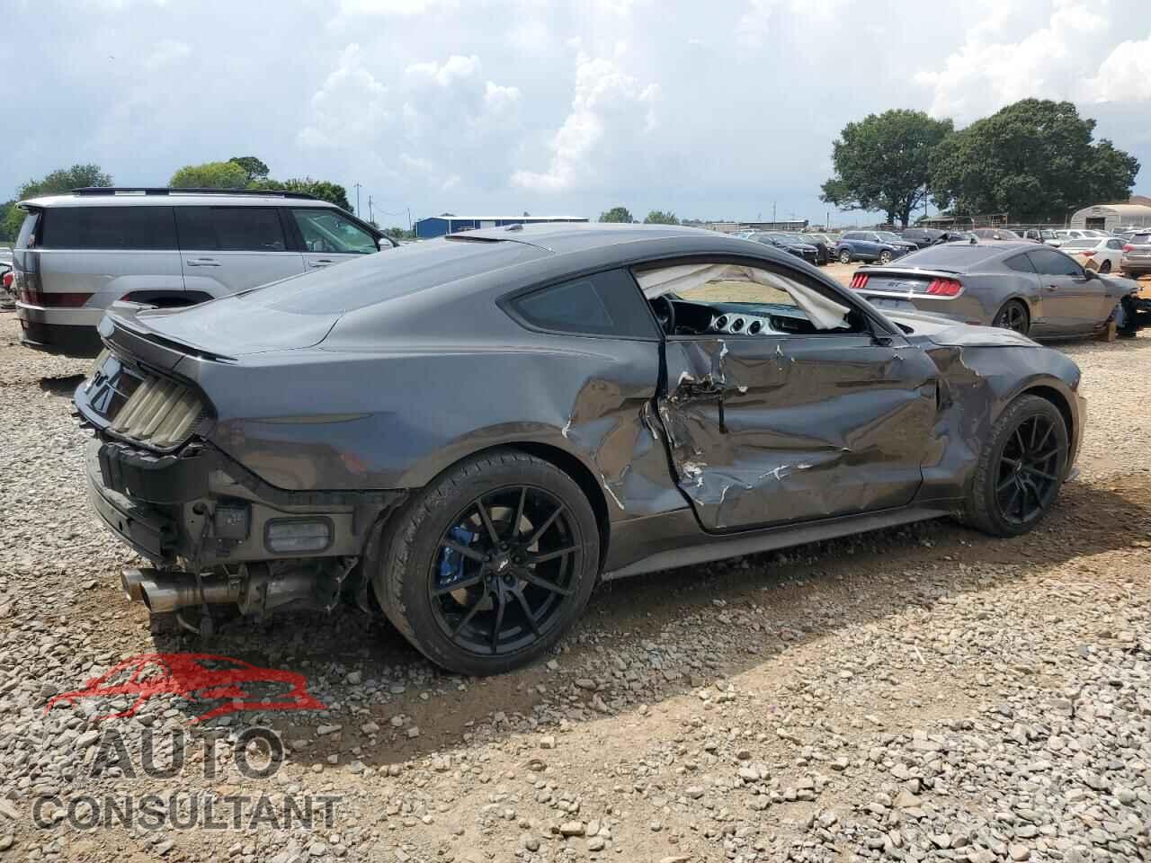 FORD MUSTANG 2019 - 1FA6P8CF2K5191517