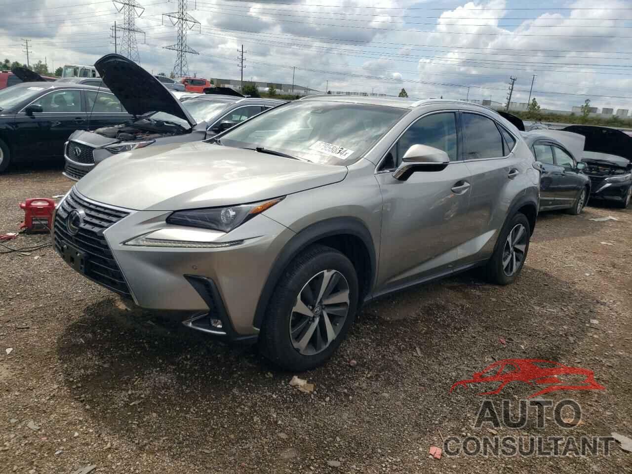 LEXUS NX 2019 - JTJBARBZ4K2186961