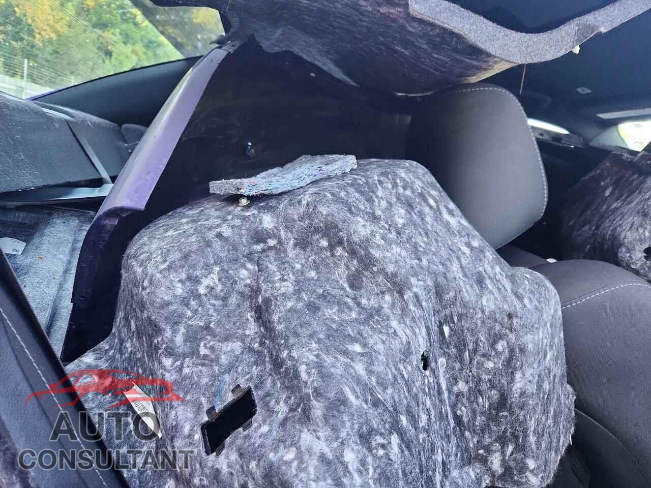 DODGE CHARGER 2019 - 2C3CDXJG4KH743382