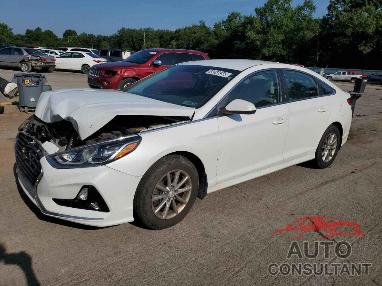 HYUNDAI SONATA 2019 - 5NPE24AF8KH781625